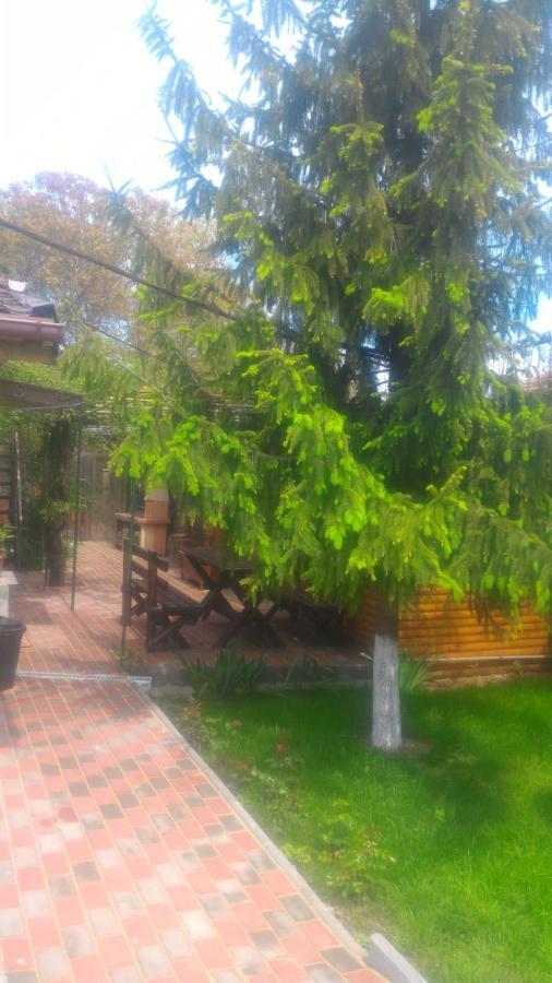 Casa Mola Mangalia Exterior foto