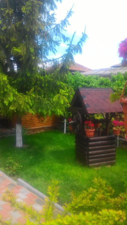 Casa Mola Mangalia Exterior foto