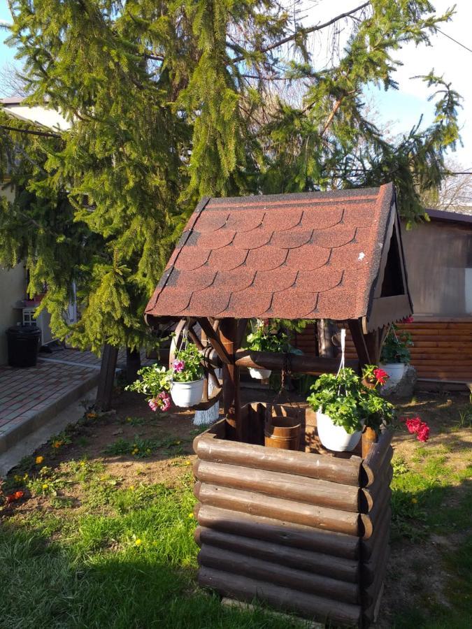 Casa Mola Mangalia Exterior foto