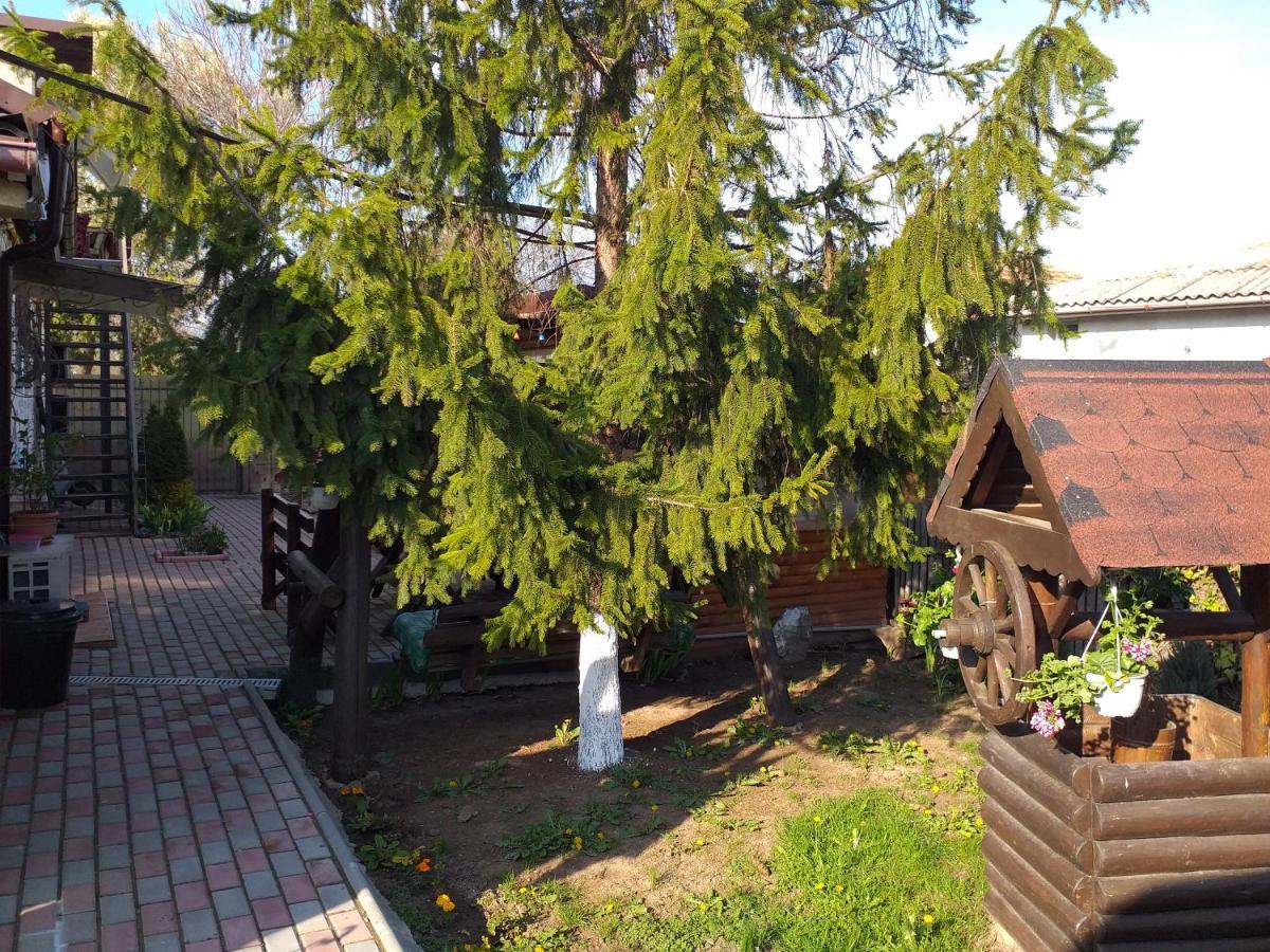 Casa Mola Mangalia Exterior foto