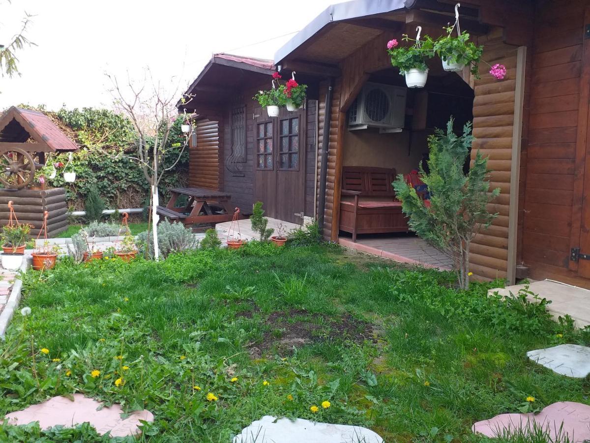 Casa Mola Mangalia Exterior foto