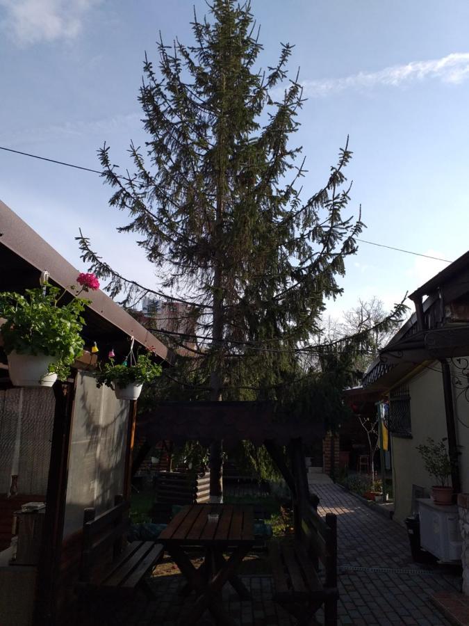 Casa Mola Mangalia Exterior foto