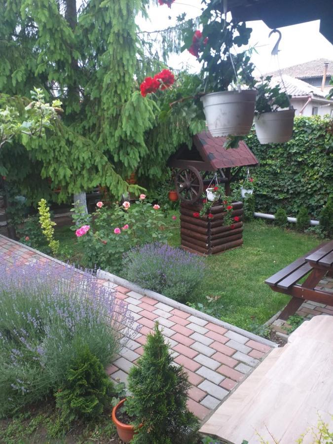 Casa Mola Mangalia Exterior foto