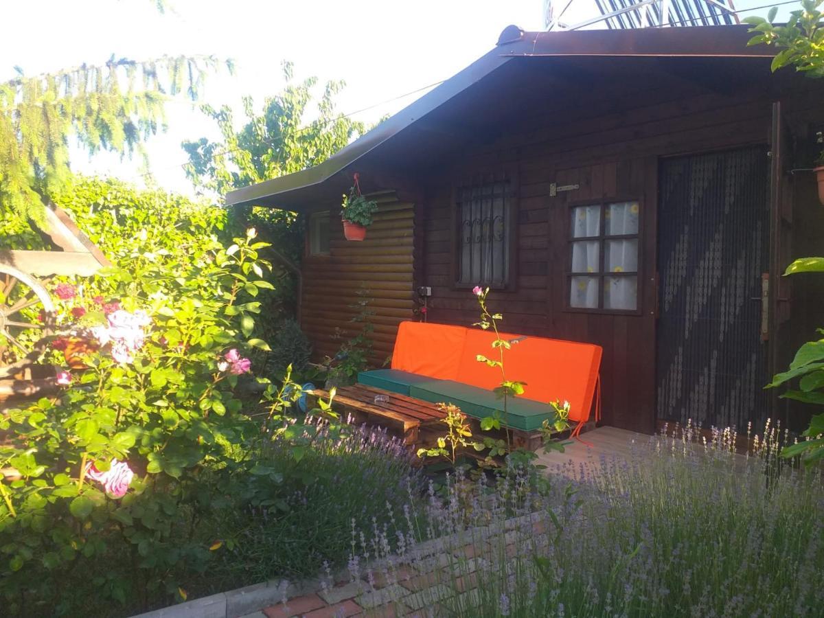 Casa Mola Mangalia Exterior foto