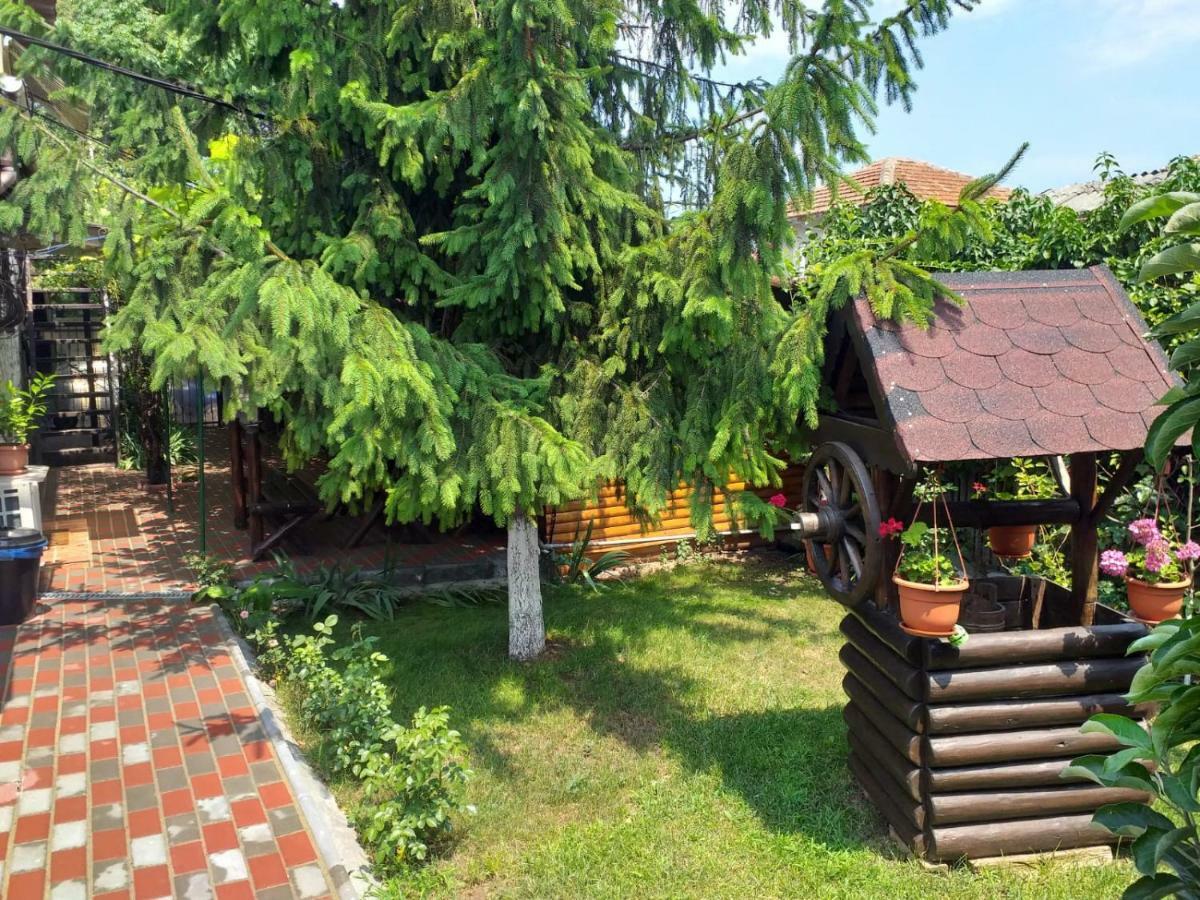 Casa Mola Mangalia Exterior foto